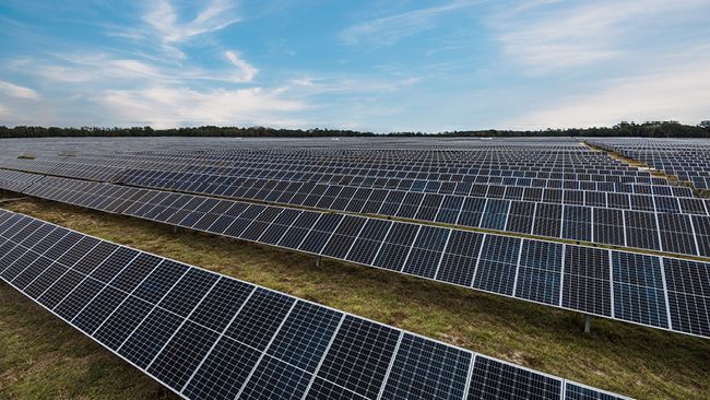 cc765a3ed6fba4f2fc43825abfc7e03cf4792b2a-duke solar field